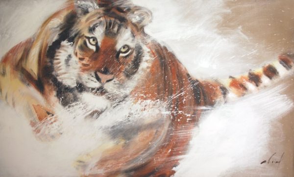 Tigre Bondissant - © Gérard ABRIAL