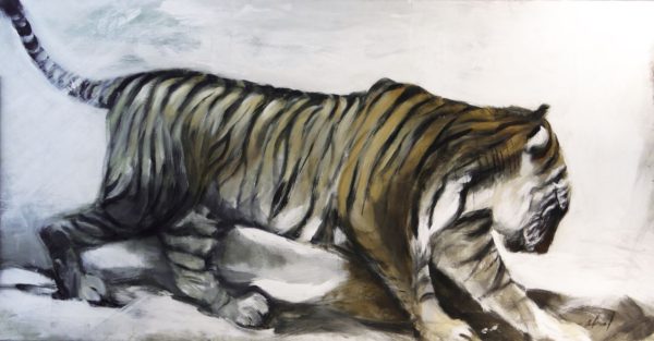Tigre sur fond gris - © Gérard ABRIAL