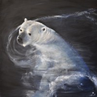 Ours blanc dans l'eau