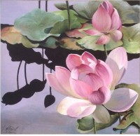 Lotus au reflet noir