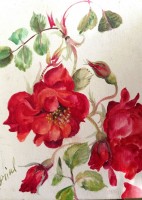 Roses Rouge Eclatant (détail)